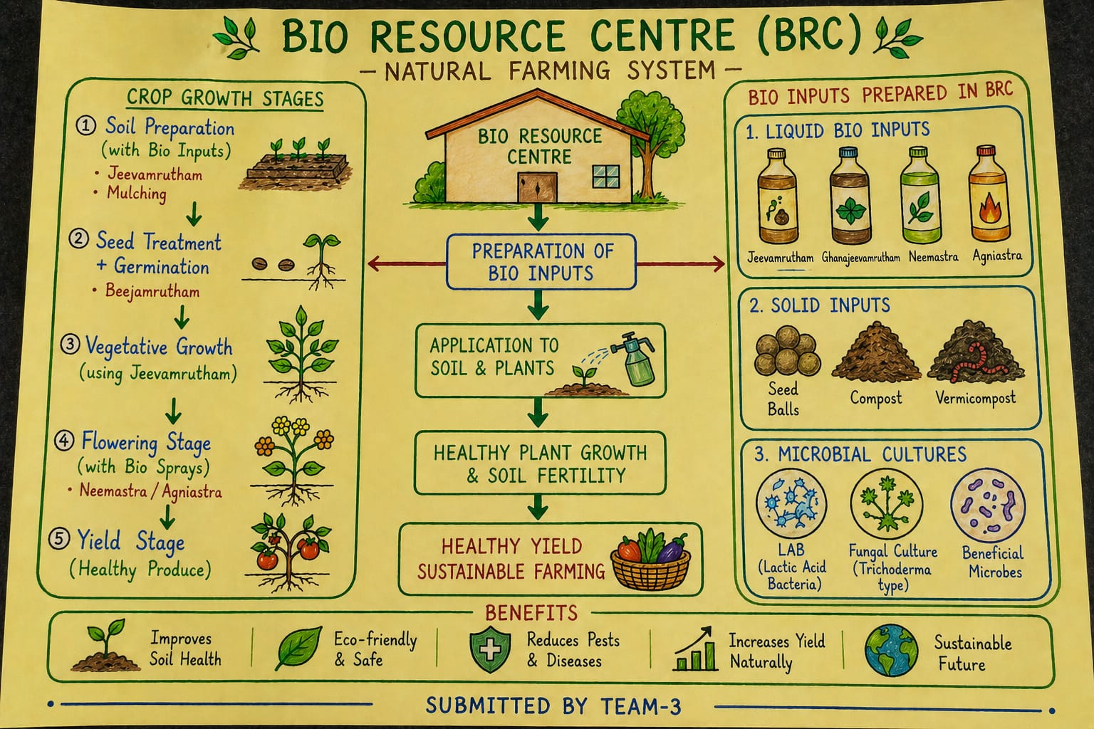 BRC Presentation by the IFC Anchor's Group